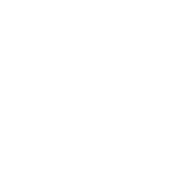 Canadian UAVs logo