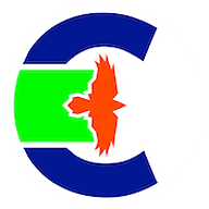 Corvus Tactical Aircraft logo