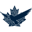 Sentinel Advanced Military Solutions logo